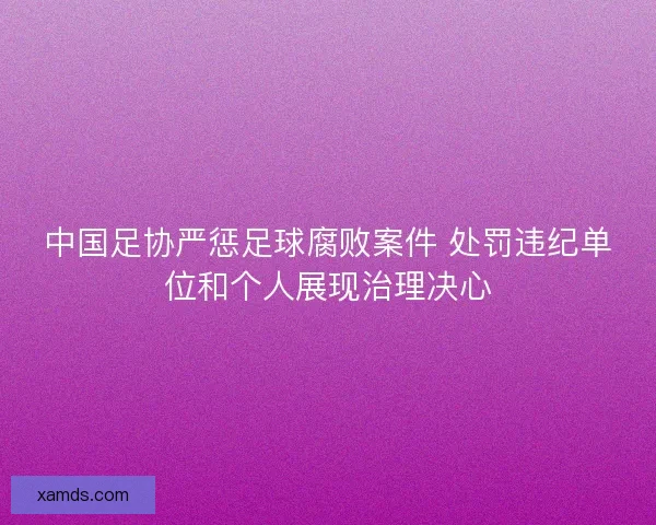 中国足协严惩足球腐败案件 处罚违纪单位和个人展现治理决心